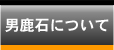 男鹿石について